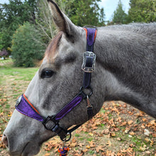 Load image into Gallery viewer, Wicked Scales Halloween halter Set
