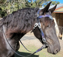 Load image into Gallery viewer, Jewel Dragonscale bit bridle
