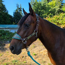 Load image into Gallery viewer, Turquoise feather padded halter Set
