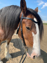 Load image into Gallery viewer, Classic padded English dressage bridle
