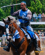 Load image into Gallery viewer, Blue Knight Fantasy bridle set
