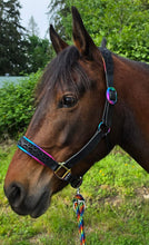 Load image into Gallery viewer, Rainbow Riot Padded halter set

