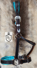 Load image into Gallery viewer, Turquoise padded halter with feather buckles
