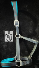 Load image into Gallery viewer, Custom padded leather halter
