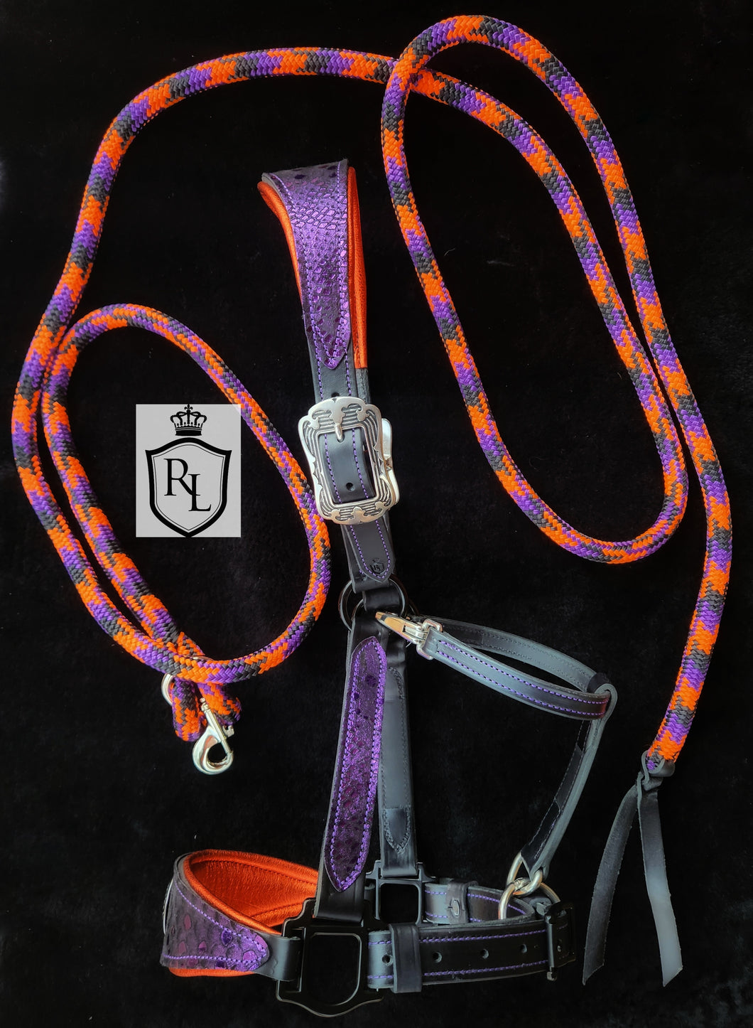 Wicked Scales Halloween halter Set