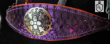 Load image into Gallery viewer, Wicked Scales Halloween halter Set
