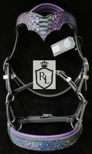 Load image into Gallery viewer, Crown of Scales Sidepull Set
