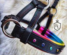 Load image into Gallery viewer, Rainbow padded bitless sidepull bridle
