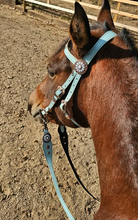 Load image into Gallery viewer, Topaz and opal padded bit bridle
