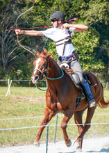 Load image into Gallery viewer, Western Bitless sidepull with rawhide accented noseband
