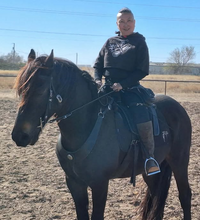 Load image into Gallery viewer, Dark Horizon western set
