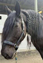 Load image into Gallery viewer, Jewel dragonscale halter
