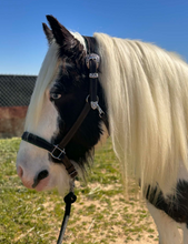Load image into Gallery viewer, Celtic green padded halter

