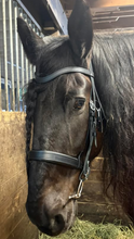 Load image into Gallery viewer, Draft sized Padded English bit bridle

