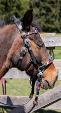 Load image into Gallery viewer, Ravens Treasure Bridle
