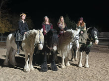Load image into Gallery viewer, Consultation for a custom Bridle, Breast Collar, halter, or Bitless Bridle
