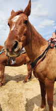 Load image into Gallery viewer, All Leather adjustable Cordeo Spring Drop
