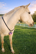 Load image into Gallery viewer, Valentine's day Cordeo drop
