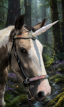 Load image into Gallery viewer, Unicorn halter/bridle combination Horse size
