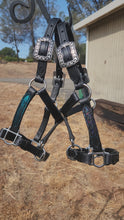 Load and play video in Gallery viewer, Mini Horse Dragonscale padded halter
