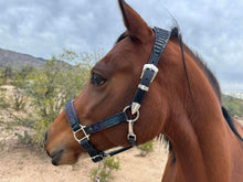 Load image into Gallery viewer, Jewel dragonscale halter
