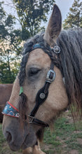 Load image into Gallery viewer, Witch's Tarot halter bridle set
