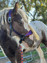 Load image into Gallery viewer, Wicked Scales Halloween halter Set
