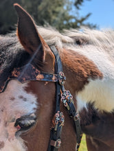 Load image into Gallery viewer, Ravens Treasure Bridle
