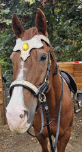 Load image into Gallery viewer, Ore dragon padded bridle
