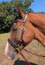 Load image into Gallery viewer, Traditional bitless sidepull bridle
