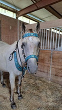 Load image into Gallery viewer, Copper Sky bridle

