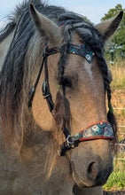 Load image into Gallery viewer, Witch's Tarot halter bridle set
