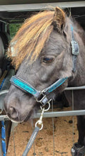 Load image into Gallery viewer, Mini Horse Dragonscale padded halter

