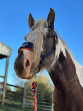 Load image into Gallery viewer, Wicked Scales Halloween halter Set
