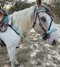 Load image into Gallery viewer, Rosewood Mint Bridle set
