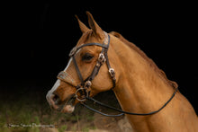 Load image into Gallery viewer, Copper underground padded bridle
