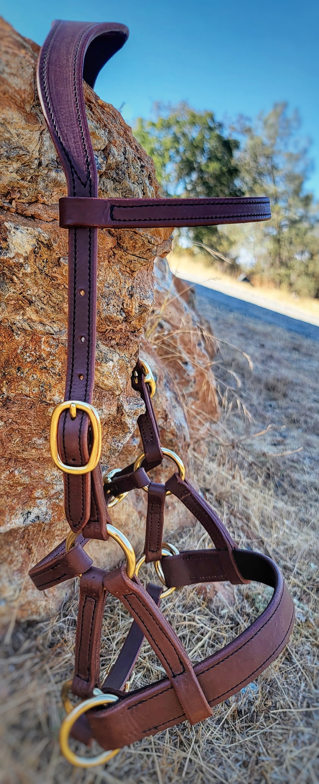 Traditional bitless sidepull bridle