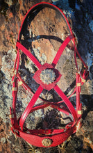 Load image into Gallery viewer, Red Rosette Baroque bridle
