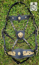 Load image into Gallery viewer, Magnificent Baroque bridle set
