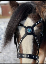 Load image into Gallery viewer, Consultation for a custom Bridle, Breast Collar, halter, or Bitless Bridle
