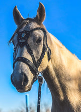 Load image into Gallery viewer, Consultation for a custom Bridle, Breast Collar, halter, or Bitless Bridle
