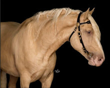 Load image into Gallery viewer, Baroque Draft Horse Bridle
